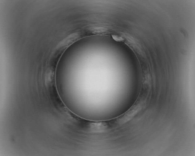 X0000113320281200909141402