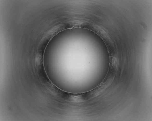 X0000113320283200909141402