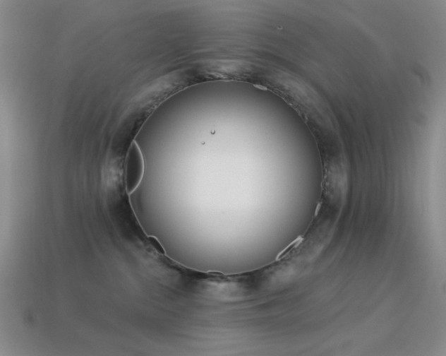 X0000113320284200909141402