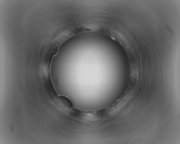 X0000113320285200909141402