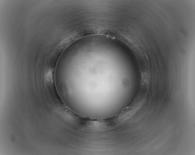 X0000113320286200909141402