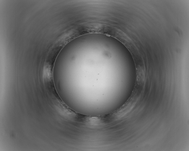 X0000113320287200909141402