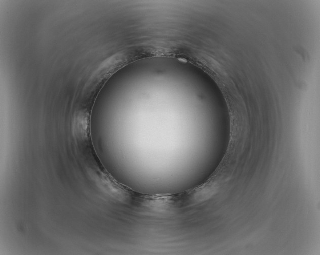 X0000113320288200909141402