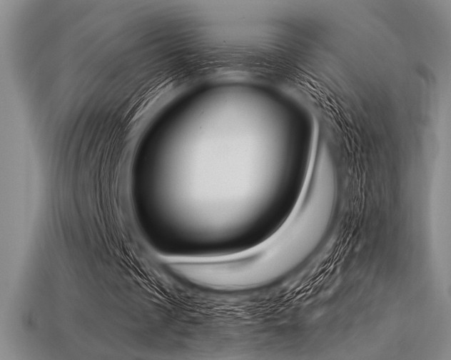 X0000113320289200909141401