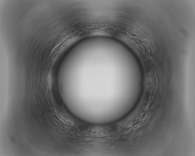 X0000113320290200909141401