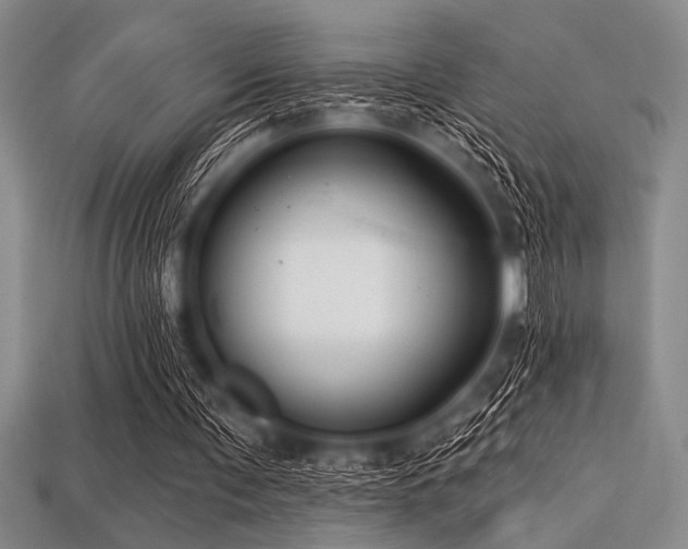 X0000113320291200909141401