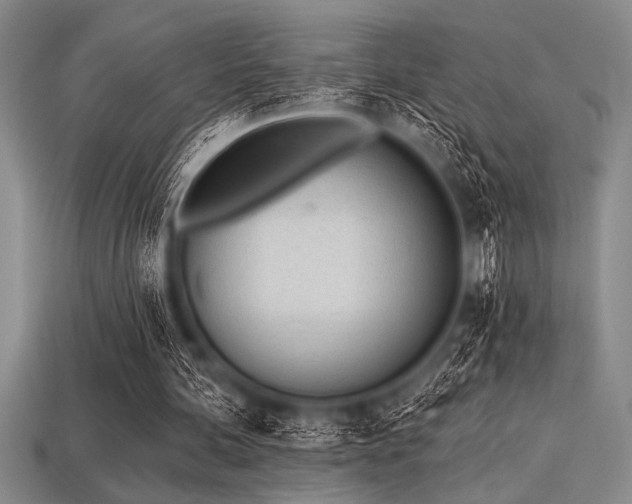 X0000113320292200909141401