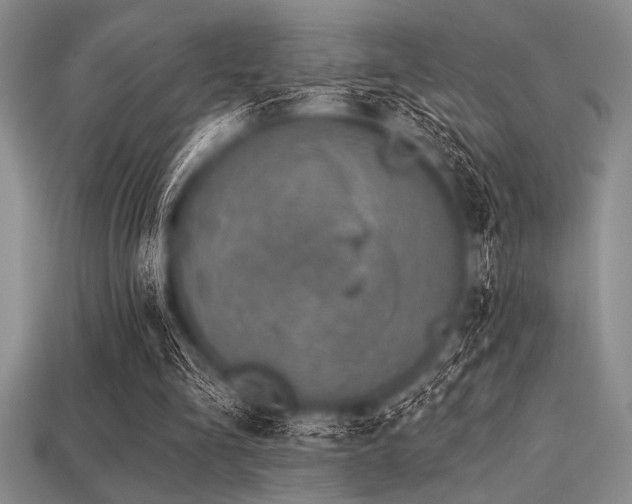 X0000113320293200909141401