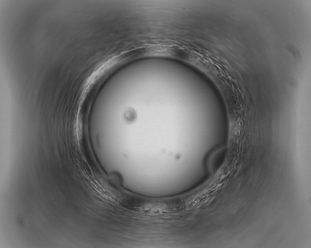 X0000113320294200909141401