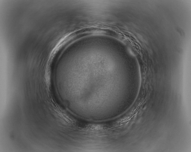 X0000113320295200909141401