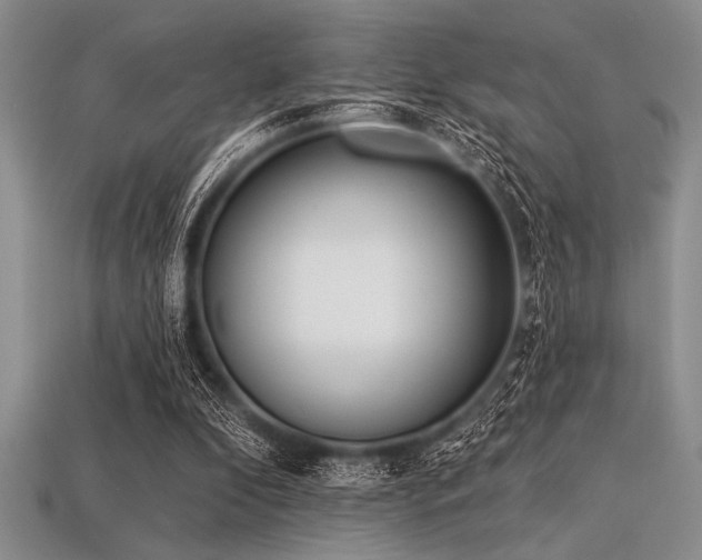 X0000113320296200909141401