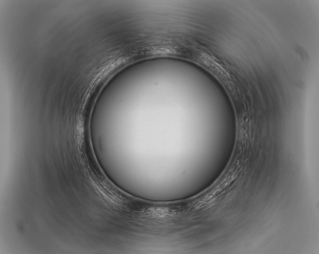 X0000113320298200909141401