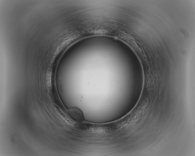 X0000113320299200909141401