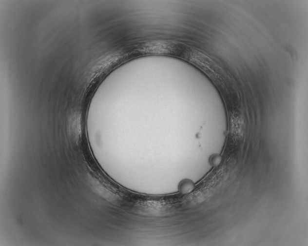 X0000113320302200909141401