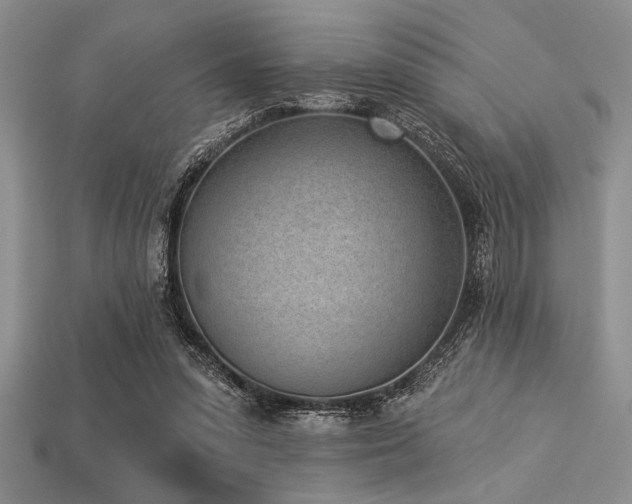 X0000113320303200909141401