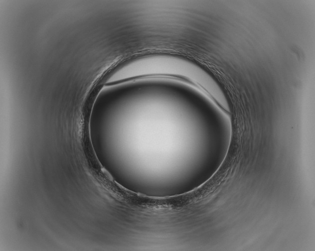 X0000113320304200909141401