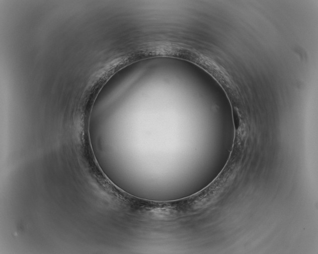 X0000113320306200909141401