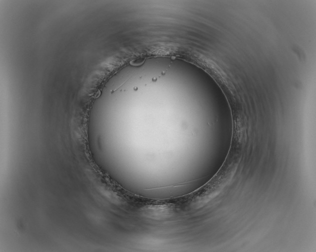 X0000113320307200909141401