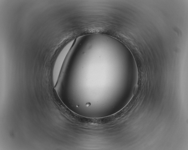 X0000113320308200909141401