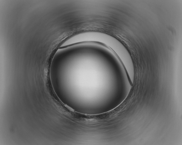 X0000113320309200909141401