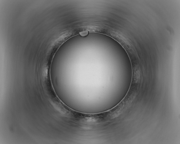 X0000113320310200909141401