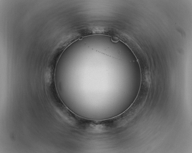 X0000113320311200909141401