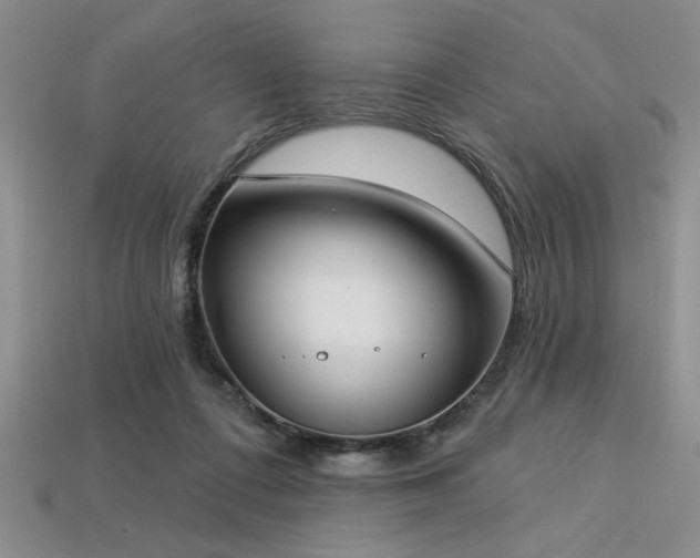 X0000113320312200909141401