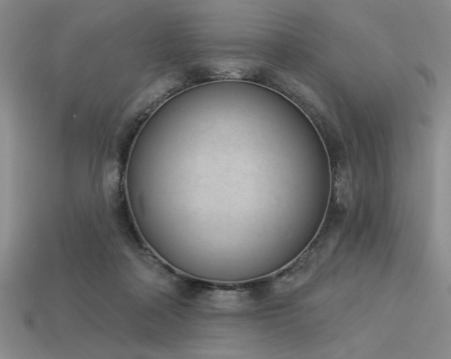 X0000113320314200909141401