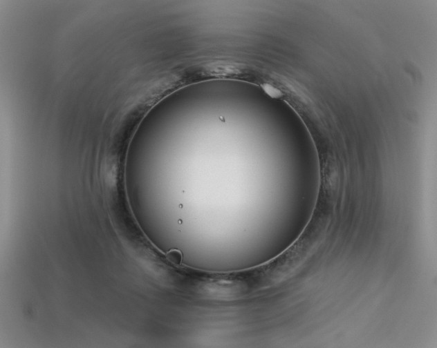 X0000113320315200909141401