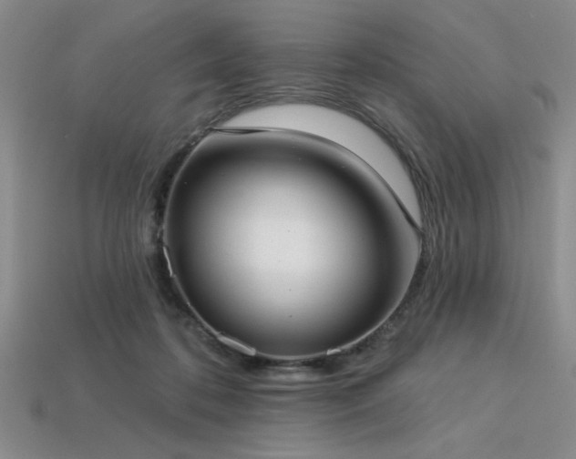 X0000113320316200909141401