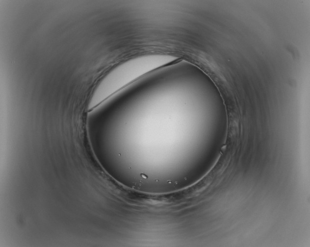 X0000113320317200909141401