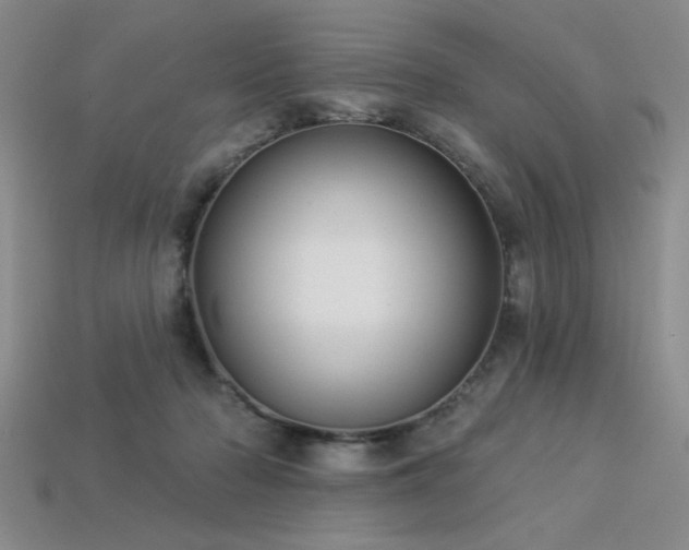 X0000113320318200909141401