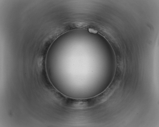 X0000113320319200909141401