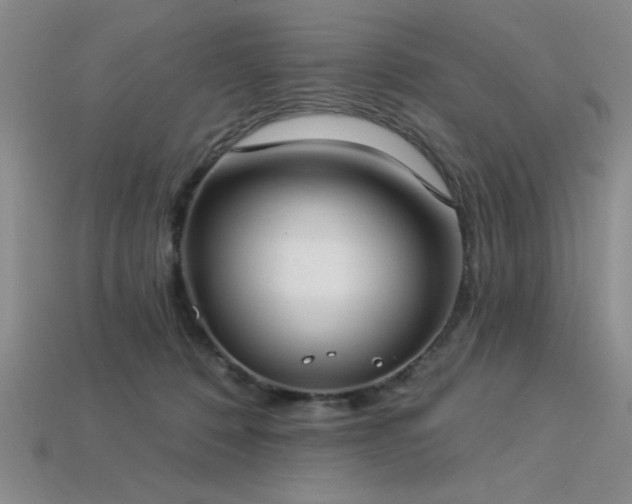 X0000113320320200909141400