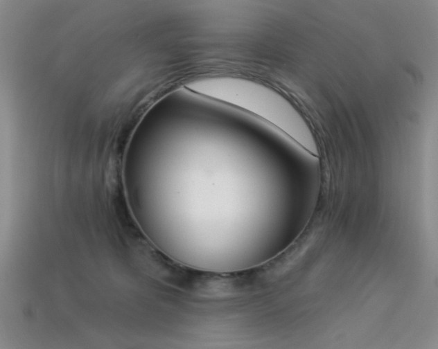 X0000113320325200909141400