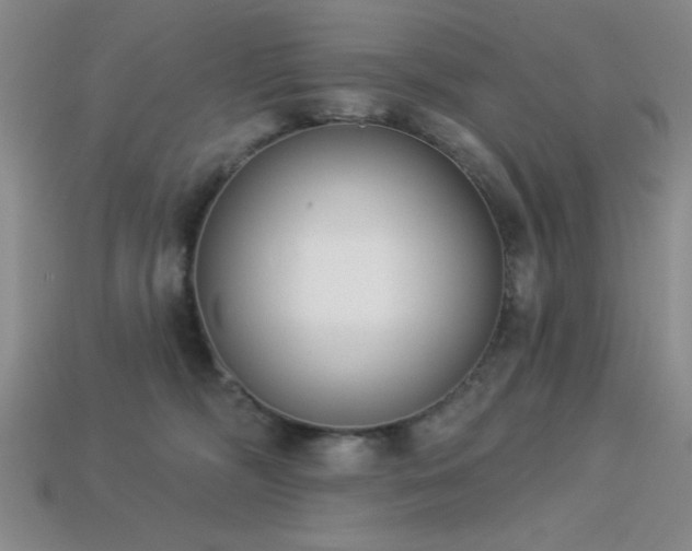 X0000113320326200909141400