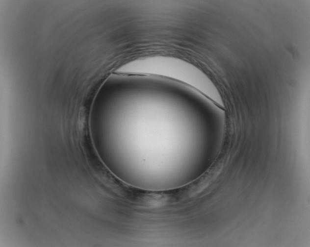 X0000113320328200909141400