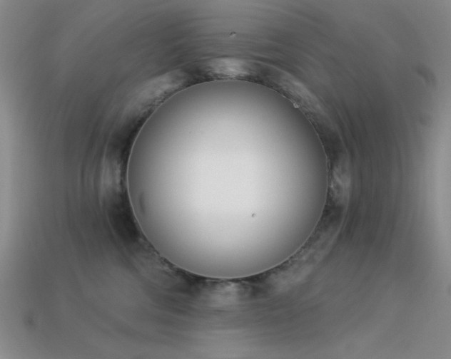 X0000113320330200909141400