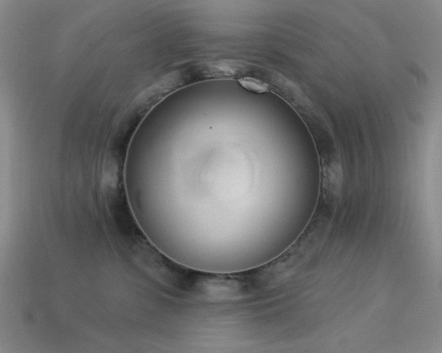 X0000113320331200909141400