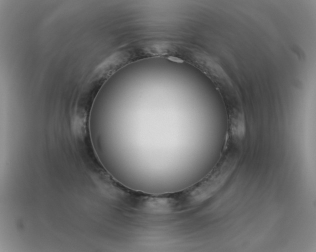 X0000113320332200909141400