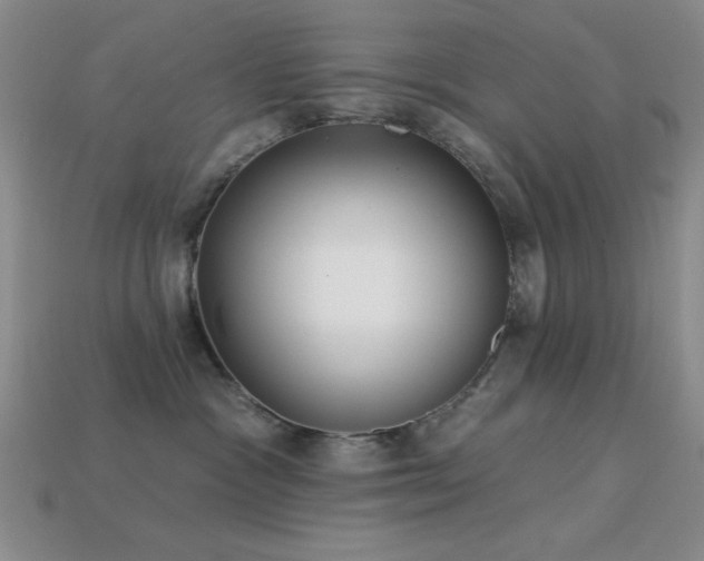 X0000113320333200909141400