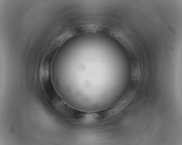 X0000113320334200909141400