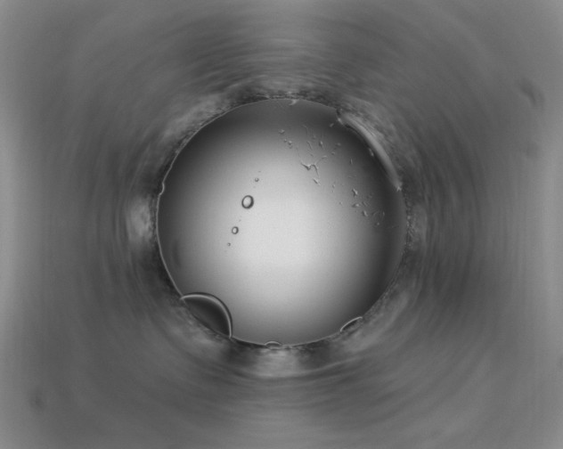 X0000113320335200909141400