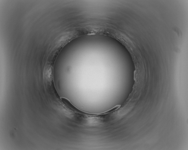 X0000113320336200909141400