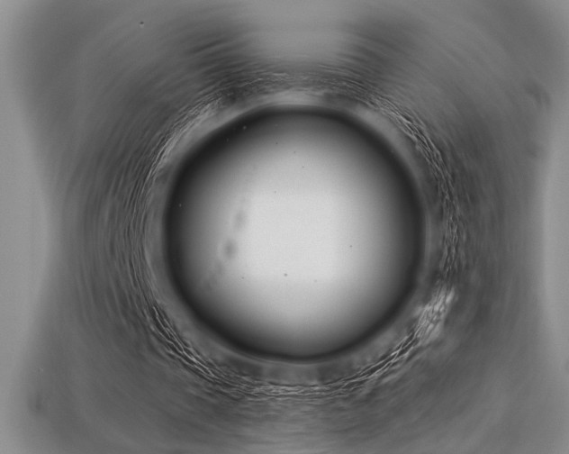 X0000113320337200909141400