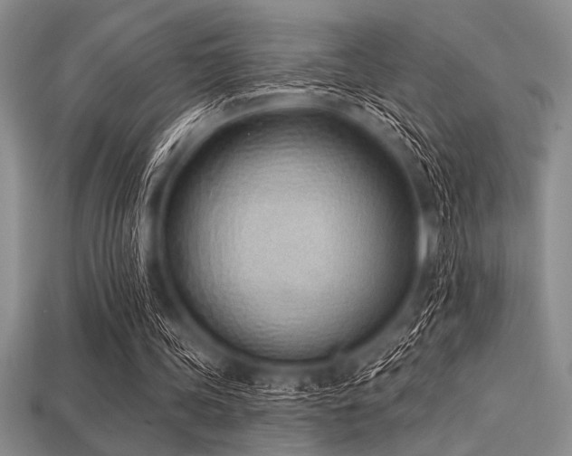 X0000113320339200909141400