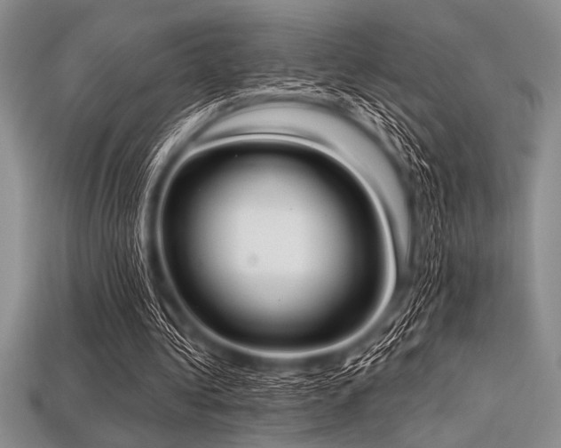 X0000113320340200909141400