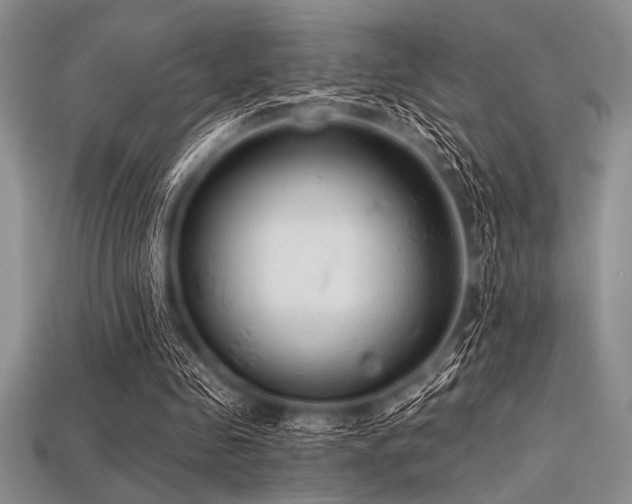 X0000113320341200909141400