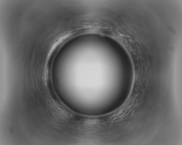 X0000113320342200909141400