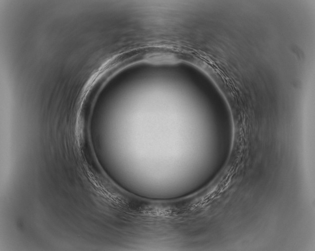 X0000113320343200909141400